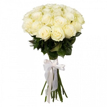 Trandafiri albi delicați 50 cm